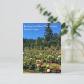 Carte Postale Portland Rose Garden (Debout devant)