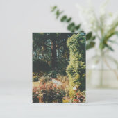 Carte Postale Portland Rose Garden (Debout devant)