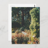 Carte Postale Portland Rose Garden (Devant / Derrière)