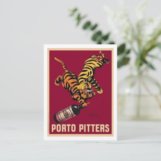 Carte Postale Porto Pitters (Debout devant)