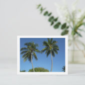 Carte Postale Porto Rico (Debout devant)