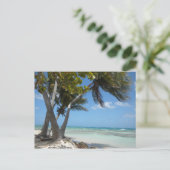 Carte Postale Porto Rico (Debout devant)