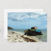 Carte Postale Porto Rico, Culebra, flamenco de Playa (Devant / Derrière)
