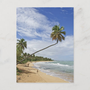 Carte Postale Porto Rico. Tres Palmitas Beach Porto Rico