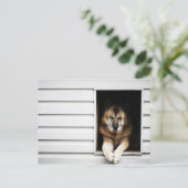 Carte Postale portrait (Debout devant)