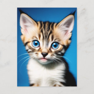 Carte Postale Portrait adorable Kitten avec de beaux yeux bleus
