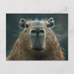 Carte Postale Portrait Capybara de gros plan