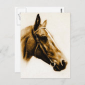 Carte Postale Portrait Cheval aux tons Brown (Devant / Derrière)
