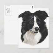Carte Postale Portrait Collie Bordure (Devant / Derrière)