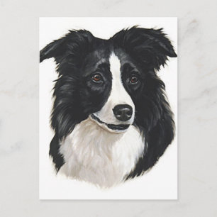 Carte Postale Portrait Collie Bordure