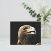 Carte Postale Portrait d'aigle doré (Debout devant)
