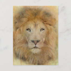 Carte Postale Portrait d'aquarelle de la faune du lion d'Afrique