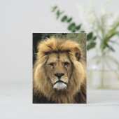 Carte Postale Portrait d'aquarelle de Lion (Debout devant)