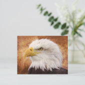 Carte Postale Portrait de Bald Eagle (Debout devant)