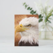 Carte Postale Portrait de Bald Eagle (Debout devant)