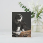 Carte Postale Portrait de Bobtail puppy (Debout devant)