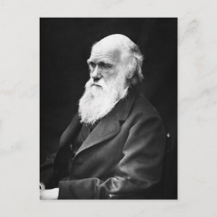 Carte Postale Portrait de Charles Darwin
