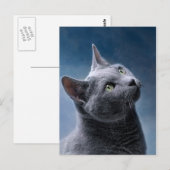 Carte Postale Portrait de chat (Devant / Derrière)