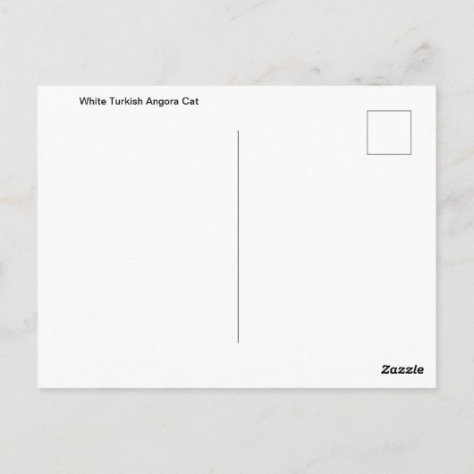 Carte Postale Portrait de chat blanc Angora turc (Dos)