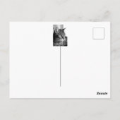 Carte Postale Portrait de chat mignon - penseur (Dos)