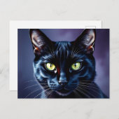 Carte Postale Portrait de chat noir aux yeux verts (Devant / Derrière)