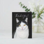 Carte Postale Portrait de chat noir et blanc (Debout devant)