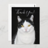 Carte Postale Portrait de chat noir et blanc (Devant / Derrière)