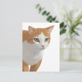Carte Postale Portrait de chat orange et blanc (Debout devant)