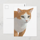 Carte Postale Portrait de chat orange et blanc (Devant / Derrière)