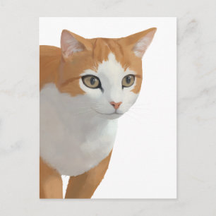 Carte Postale Portrait de chat orange et blanc