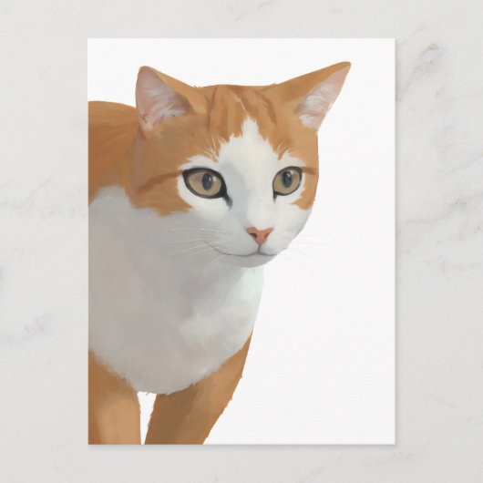 Carte Postale Portrait de chat orange et blanc (Devant)