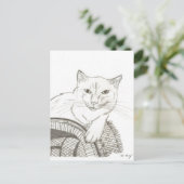Carte Postale Portrait de chat Ragdoll (Debout devant)