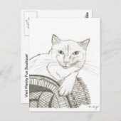 Carte Postale Portrait de chat Ragdoll (Devant / Derrière)