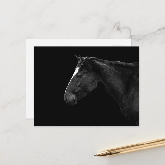 Carte Postale Portrait de cheval (Devant/Arrière en situation)