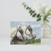 Carte Postale Portrait de cheval (Debout devant)