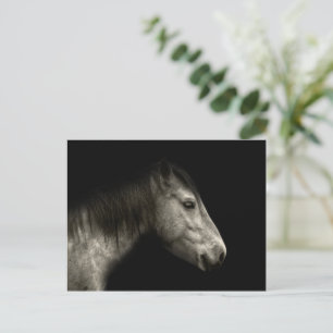 Carte Postale Portrait de cheval