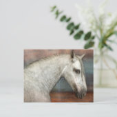 Carte Postale Portrait de Cheval Andalou Gris Dappé (Debout devant)