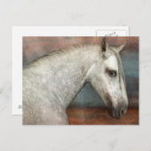 Carte Postale Portrait de Cheval Andalou Gris Dappé (Devant / Derrière)