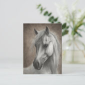 Carte Postale Portrait de cheval blanc peint à la main (Debout devant)