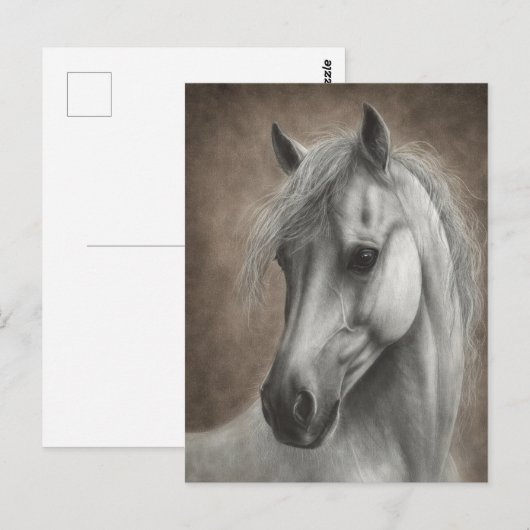 Carte Postale Portrait de cheval blanc peint à la main (Devant / Derrière)