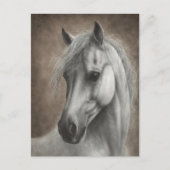Carte Postale Portrait de cheval blanc peint à la main (Devant)