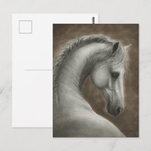 Carte Postale Portrait de cheval blanc peint à la main