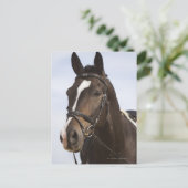 Carte Postale portrait de cheval brun (Debout devant)