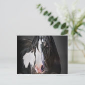 Carte Postale Portrait de cheval II (Debout devant)