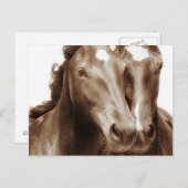 Carte Postale Portrait de cheval III (Devant / Derrière)