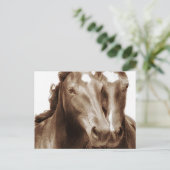 Carte Postale Portrait de cheval III (Debout devant)