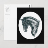 Carte Postale Portrait de cheval noir (Devant / Derrière)