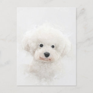 Carte Postale Portrait de Chien Bichon Frise