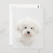 Carte Postale Portrait de Chien Bichon Frise (Devant / Derrière)