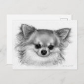 Carte Postale Portrait de Chihuahua peint à la main "Soul douce" (Devant / Derrière)